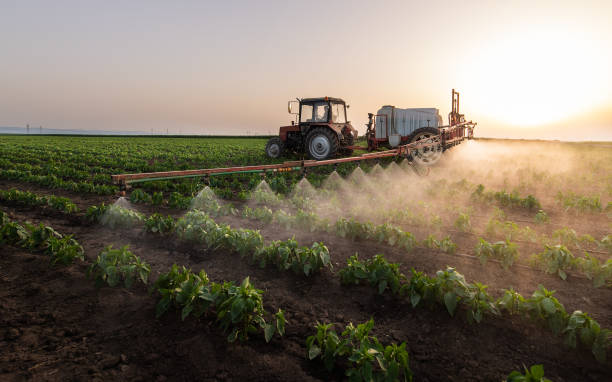 Best Pest Control for Businesses  in Kingsville, MD