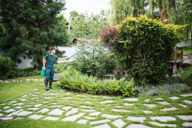 Best Best Pest Control Near Me  in Kingsville, MD
