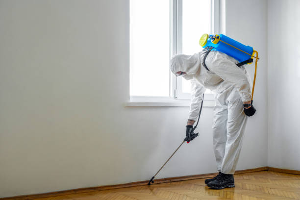 Best Termite Control Services  in Kingsville, MD