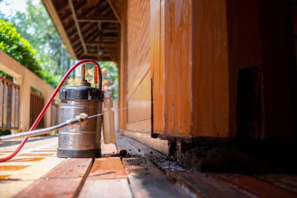 Best Affordable Pest Control Services  in Kingsville, MD