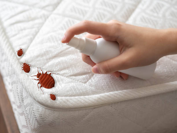 Best Wasp Removal Services  in Kingsville, MD