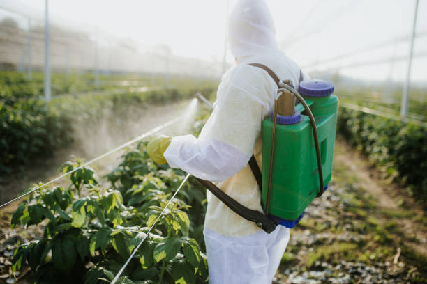 Pest Prevention Services in Kingsville, MD